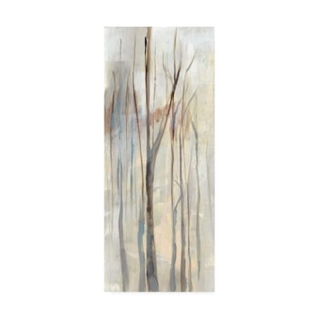 Jennifer Goldberger 'Wispy Birches I' Canvas Art,14x32